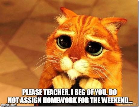 Puss in Boots | PLEASE TEACHER. I BEG OF YOU. DO NOT ASSIGN HOMEWORK FOR THE WEEKEND... | image tagged in puss in boots | made w/ Imgflip meme maker