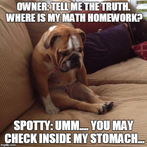 sad dog | OWNER: TELL ME THE TRUTH. WHERE IS MY MATH HOMEWORK? SPOTTY: UMM.... YOU MAY CHECK INSIDE MY STOMACH... | image tagged in sad dog | made w/ Imgflip meme maker