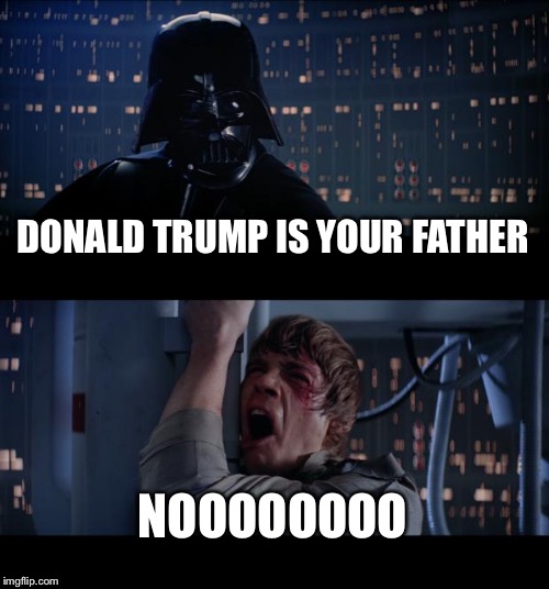 Star Wars No Meme | DONALD TRUMP IS YOUR FATHER; NOOOOOOOO | image tagged in memes,star wars no | made w/ Imgflip meme maker