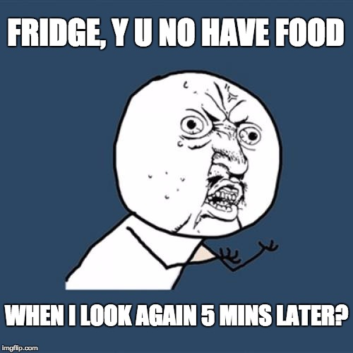 Stupid fridge | FRIDGE, Y U NO HAVE FOOD; WHEN I LOOK AGAIN 5 MINS LATER? | image tagged in memes,y u no | made w/ Imgflip meme maker