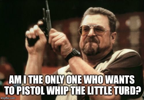 Am I The Only One Around Here Meme | AM I THE ONLY ONE WHO WANTS TO PISTOL WHIP THE LITTLE TURD? | image tagged in memes,am i the only one around here | made w/ Imgflip meme maker