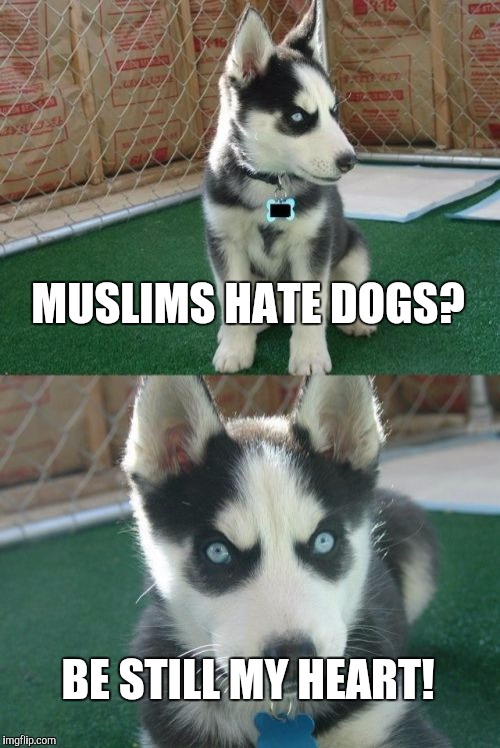 Insanity Puppy | MUSLIMS HATE DOGS? BE STILL MY HEART! | image tagged in memes,insanity puppy | made w/ Imgflip meme maker
