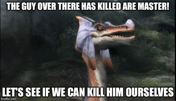 THE GUY OVER THERE HAS KILLED ARE MASTER! LET'S SEE IF WE CAN KILL HIM OURSELVES | image tagged in senseless jaggi | made w/ Imgflip meme maker