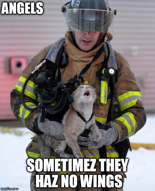Angels | ANGELS; SOMETIMEZ THEY HAZ NO WINGS | image tagged in cats,fireman | made w/ Imgflip meme maker