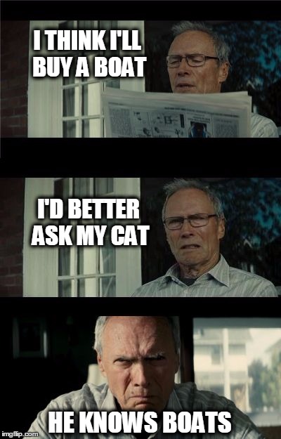 Bad Eastwood Pun | I THINK I'LL BUY A BOAT; I'D BETTER ASK MY CAT; HE KNOWS BOATS | image tagged in boaty mcboatface,bad eastwood pun,i should buy a boat cat,the love boat | made w/ Imgflip meme maker