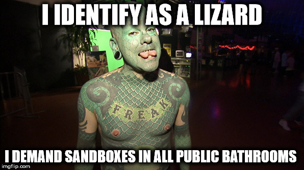 I IDENTIFY AS A LIZARD; I DEMAND SANDBOXES IN ALL PUBLIC BATHROOMS | image tagged in lizard | made w/ Imgflip meme maker