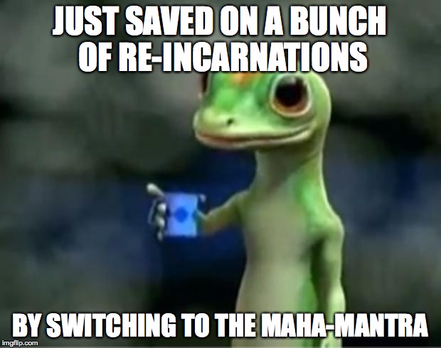 Geico Gecko | JUST SAVED ON A BUNCH OF RE-INCARNATIONS; BY SWITCHING TO THE MAHA-MANTRA | image tagged in geico gecko | made w/ Imgflip meme maker