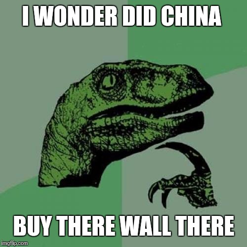 Philosoraptor Meme | I WONDER DID CHINA BUY THERE WALL THERE | image tagged in memes,philosoraptor | made w/ Imgflip meme maker