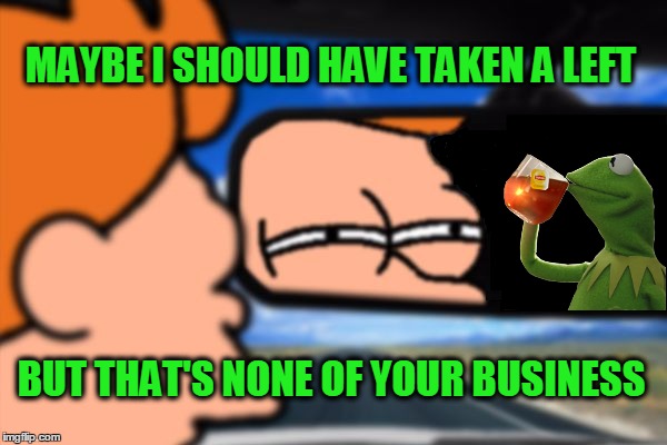 Just drink your tea frog... | MAYBE I SHOULD HAVE TAKEN A LEFT; BUT THAT'S NONE OF YOUR BUSINESS | image tagged in kermit the frog,fry not sure car version,but thats none of my business | made w/ Imgflip meme maker