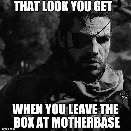 solid snake | THAT LOOK YOU GET; WHEN YOU LEAVE THE BOX AT MOTHERBASE | image tagged in solid snake | made w/ Imgflip meme maker
