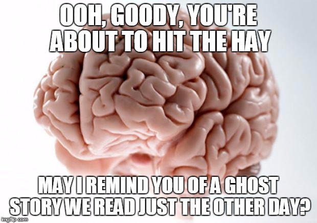 Just...WHY?!?!!?????? | OOH, GOODY, YOU'RE ABOUT TO HIT THE HAY; MAY I REMIND YOU OF A GHOST STORY WE READ JUST THE OTHER DAY? | image tagged in scumbag brain | made w/ Imgflip meme maker