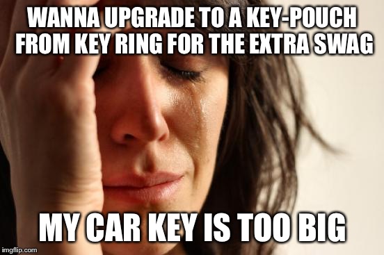 First World Problems |  WANNA UPGRADE TO A KEY-POUCH FROM KEY RING FOR THE EXTRA SWAG; MY CAR KEY IS TOO BIG | image tagged in memes,first world problems | made w/ Imgflip meme maker