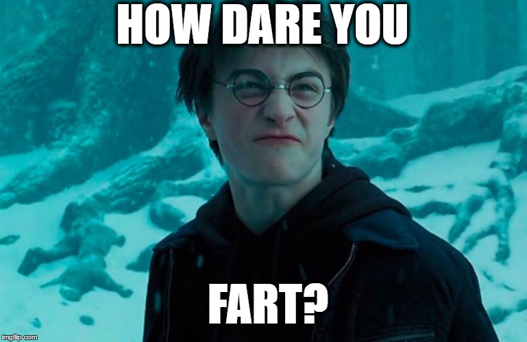 Harry Potter | HOW DARE YOU; FART? | image tagged in harry potter | made w/ Imgflip meme maker