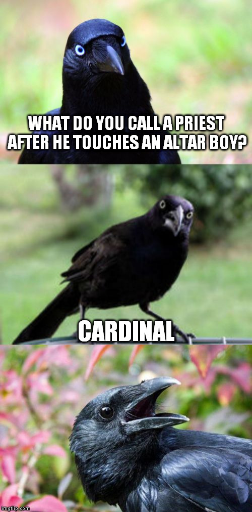 bird pun crow >`) | WHAT DO YOU CALL A PRIEST AFTER HE TOUCHES AN ALTAR BOY? CARDINAL | image tagged in bad pun crow,bird pun crow,memes | made w/ Imgflip meme maker