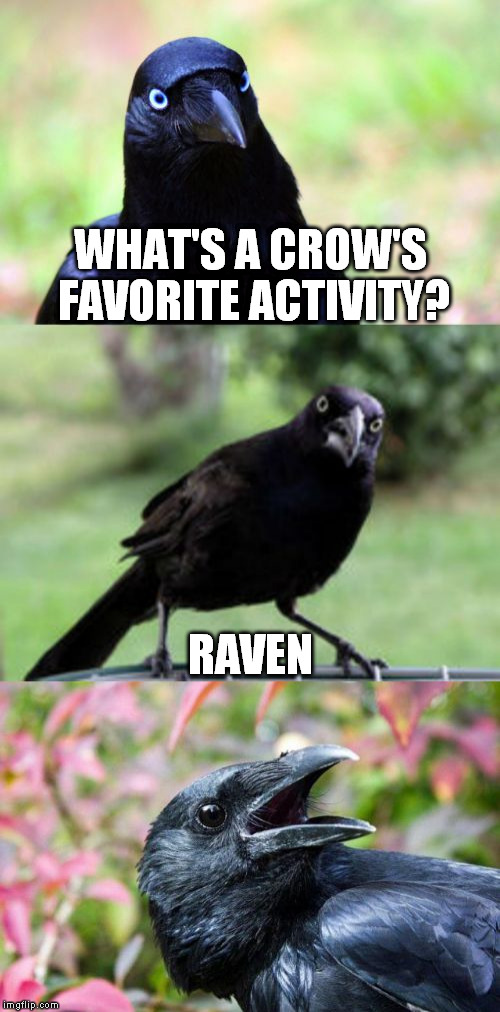 bird pun crow >`) | WHAT'S A CROW'S FAVORITE ACTIVITY? RAVEN | image tagged in bad pun crow,memes,bird pun crow,rave culture,techno,electronica | made w/ Imgflip meme maker