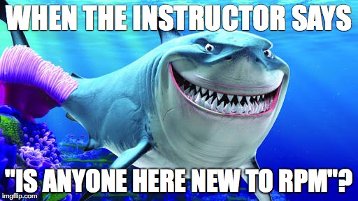 WHEN THE INSTRUCTOR SAYS; "IS ANYONE HERE NEW TO RPM"? | image tagged in rpm shark | made w/ Imgflip meme maker