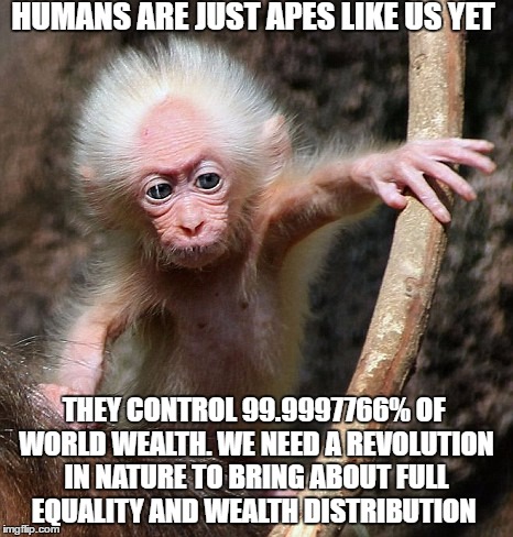 The economic gap between homo sapiens and other apes is increasing  | HUMANS ARE JUST APES LIKE US YET; THEY CONTROL 99.9997766% OF WORLD WEALTH. WE NEED A REVOLUTION IN NATURE TO BRING ABOUT FULL EQUALITY AND WEALTH DISTRIBUTION | image tagged in memes,bernie sanders,equality,income,monkey | made w/ Imgflip meme maker