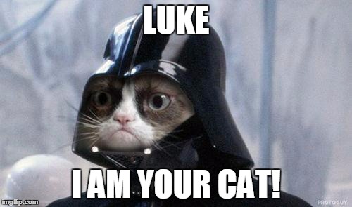 Grumpy Cat Star Wars Meme | LUKE; I AM YOUR CAT! | image tagged in memes,grumpy cat star wars,grumpy cat | made w/ Imgflip meme maker