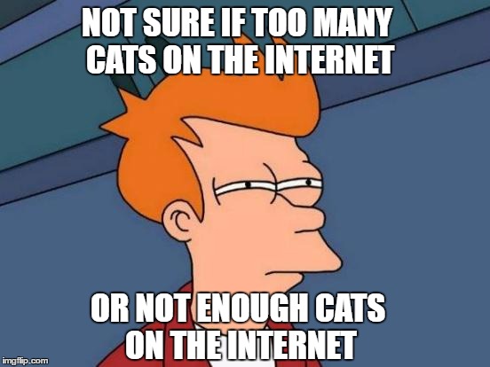 Futurama Fry - Too Many Cats | NOT SURE IF TOO MANY CATS ON THE INTERNET; OR NOT ENOUGH CATS ON THE INTERNET | image tagged in memes,futurama fry,cats | made w/ Imgflip meme maker