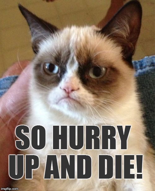 Grumpy Cat Meme | SO HURRY UP AND DIE! | image tagged in memes,grumpy cat | made w/ Imgflip meme maker