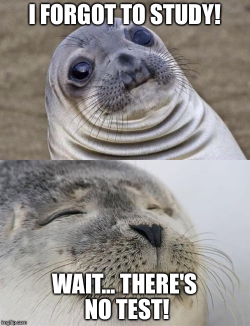 Awkward Moment Vs. Happy Truth | I FORGOT TO STUDY! WAIT... THERE'S NO TEST! | image tagged in awkward moment vs happy truth,awkward moment sealion,satisfied seal | made w/ Imgflip meme maker