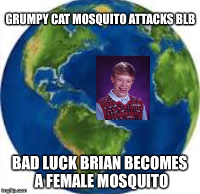 GRUMPY CAT MOSQUITO ATTACKS BLB BAD LUCK BRIAN BECOMES A FEMALE MOSQUITO | made w/ Imgflip meme maker