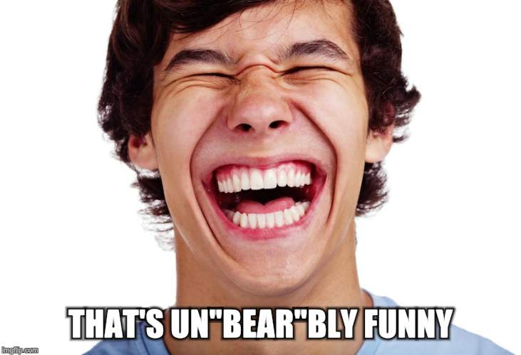 THAT'S UN"BEAR"BLY FUNNY | made w/ Imgflip meme maker