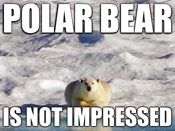POLAR BEAR; IS NOT IMPRESSED | image tagged in polar bear | made w/ Imgflip meme maker