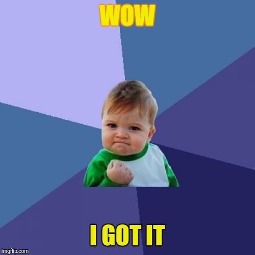 Success Kid Meme | WOW; I GOT IT | image tagged in memes,success kid | made w/ Imgflip meme maker