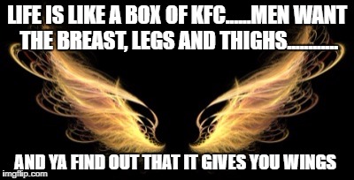 Wings | LIFE IS LIKE A BOX OF KFC......MEN WANT THE BREAST, LEGS AND THIGHS............ AND YA FIND OUT THAT IT GIVES YOU WINGS | image tagged in wings | made w/ Imgflip meme maker