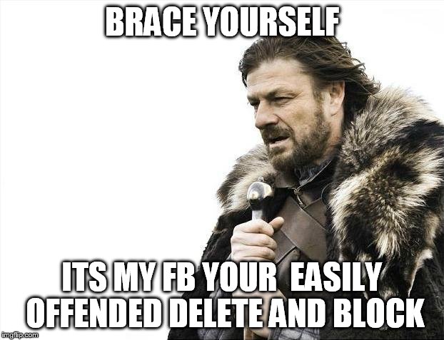 Brace Yourselves X is Coming | BRACE YOURSELF; ITS MY FB YOUR  EASILY OFFENDED DELETE AND BLOCK | image tagged in memes,brace yourselves x is coming | made w/ Imgflip meme maker