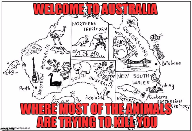 WELCOME TO AUSTRALIA WHERE MOST OF THE ANIMALS ARE TRYING TO KILL YOU | made w/ Imgflip meme maker