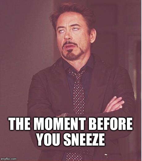 Face You Make Robert Downey Jr | THE MOMENT BEFORE YOU SNEEZE | image tagged in memes,face you make robert downey jr | made w/ Imgflip meme maker