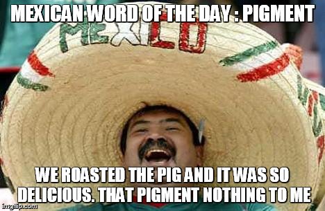 Juan Mexican Man | MEXICAN WORD OF THE DAY : PIGMENT; WE ROASTED THE PIG AND IT WAS SO DELICIOUS. THAT PIGMENT NOTHING TO ME | image tagged in juan mexican man | made w/ Imgflip meme maker