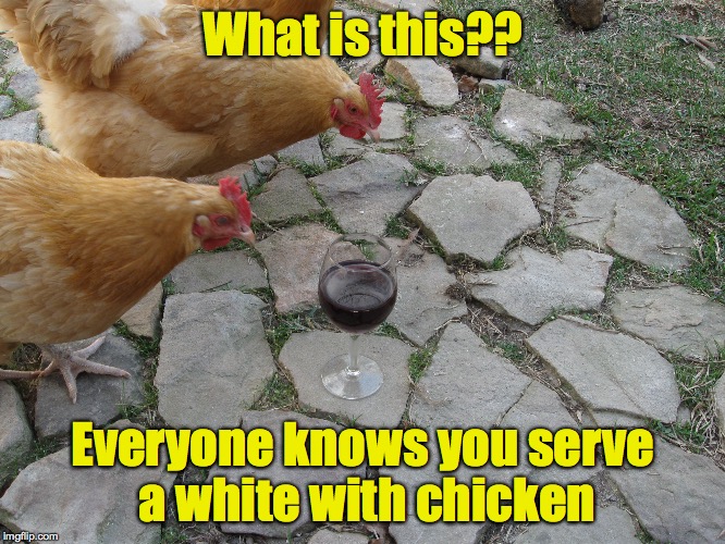 Poor wine etiquette | What is this?? Everyone knows you serve a white with chicken | image tagged in white wine,chickens | made w/ Imgflip meme maker