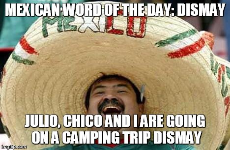 Juan Mexican Man | MEXICAN WORD OF THE DAY: DISMAY; JULIO, CHICO AND I ARE GOING ON A CAMPING TRIP DISMAY | image tagged in juan mexican man | made w/ Imgflip meme maker