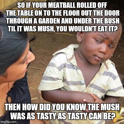 Third World Skeptical Kid Meme | SO IF YOUR MEATBALL ROLLED OFF THE TABLE ON TO THE FLOOR OUT THE DOOR THROUGH A GARDEN AND UNDER THE BUSH TIL IT WAS MUSH, YOU WOULDN'T EAT  | image tagged in memes,third world skeptical kid | made w/ Imgflip meme maker