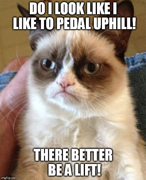 Grumpy Cat Meme | DO I LOOK LIKE I LIKE TO PEDAL UPHILL! THERE BETTER BE A LIFT! | image tagged in memes,grumpy cat | made w/ Imgflip meme maker