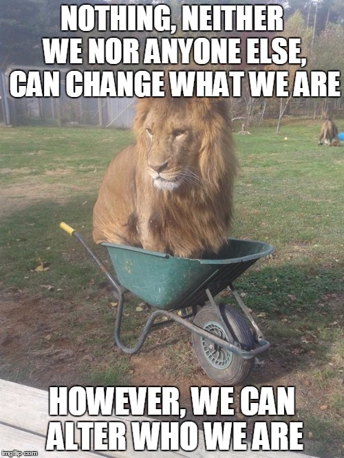 Motivational quote lion | NOTHING, NEITHER WE NOR ANYONE ELSE, CAN CHANGE WHAT WE ARE; HOWEVER, WE CAN ALTER WHO WE ARE | image tagged in motivational quote lion,memes,motivational,original meme,so true memes,so true | made w/ Imgflip meme maker