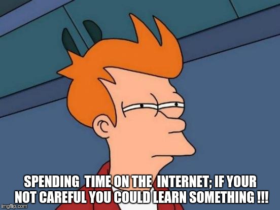 Futurama Fry Meme | SPENDING  TIME ON THE  INTERNET; IF YOUR NOT CAREFUL YOU COULD LEARN SOMETHING !!! | image tagged in memes,futurama fry | made w/ Imgflip meme maker