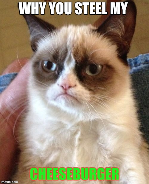 Grumpy Cat | WHY YOU STEEL MY; CHEESEBURGER | image tagged in memes,grumpy cat | made w/ Imgflip meme maker