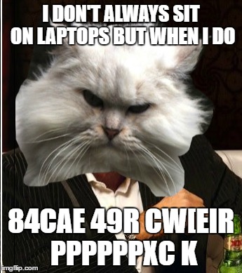 most interesting cat | I DON'T ALWAYS SIT ON LAPTOPS BUT WHEN I DO; 84CAE 49R CW[EIR PPPPPPXC K | image tagged in memes,cats,the most interesting cat in the world | made w/ Imgflip meme maker