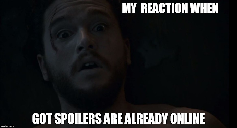 John Snow's Reaction | MY  REACTION WHEN; GOT SPOILERS ARE ALREADY ONLINE | image tagged in game of thrones,reactions,john snow | made w/ Imgflip meme maker