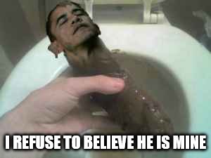 Obama Turd | I REFUSE TO BELIEVE HE IS MINE | image tagged in obama turd | made w/ Imgflip meme maker