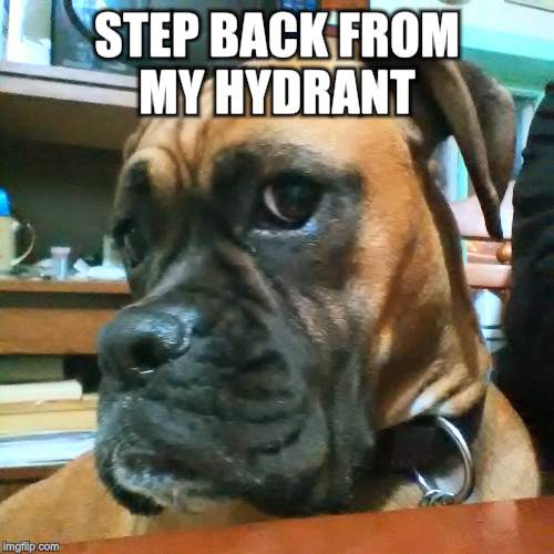 STEP BACK FROM MY HYDRANT | made w/ Imgflip meme maker