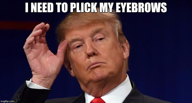 I NEED TO PLICK MY EYEBROWS | image tagged in thomas becker | made w/ Imgflip meme maker