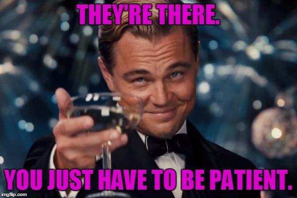 Leonardo Dicaprio Cheers Meme | THEY'RE THERE. YOU JUST HAVE TO BE PATIENT. | image tagged in memes,leonardo dicaprio cheers | made w/ Imgflip meme maker