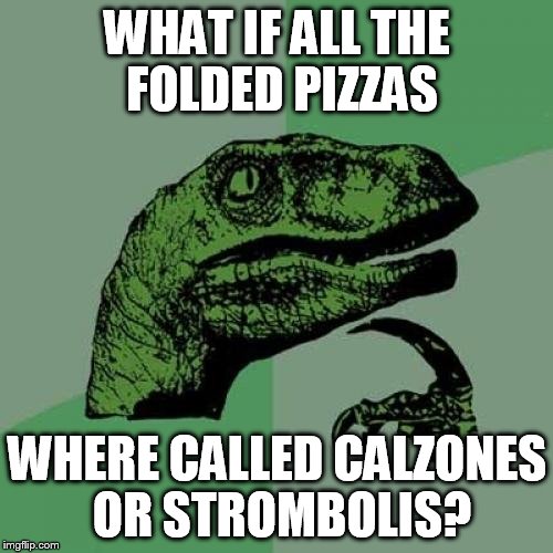 Philosoraptor Meme | WHAT IF ALL THE FOLDED PIZZAS WHERE CALLED CALZONES OR STROMBOLIS? | image tagged in memes,philosoraptor | made w/ Imgflip meme maker