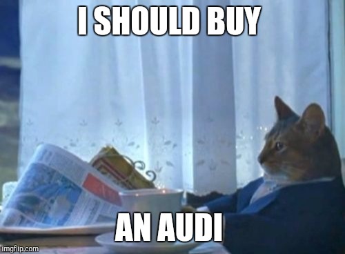 I Should Buy A Boat Cat | I SHOULD BUY; AN AUDI | image tagged in memes,i should buy a boat cat,AdviceAnimals | made w/ Imgflip meme maker