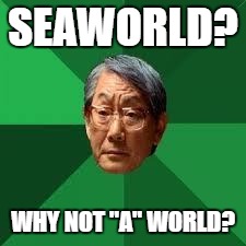 Asian Dad | SEAWORLD? WHY NOT "A" WORLD? | image tagged in asian dad | made w/ Imgflip meme maker
